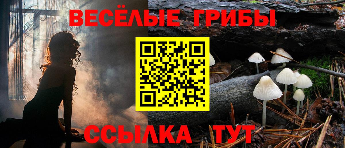 Псилоцибиновые грибы Psilocybine cubensis  Вход с VPN  Уфа 